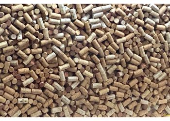 El vino gallego está de moda