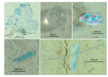 Científicos de Vigo confirman la presencia de microplásticos en sendimentos de la costa mediterránea