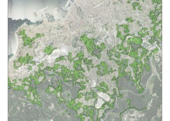 Marea de Vigo alerta de fincas forestais sen limpar e en risco por incendios