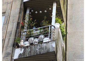 Ya no caben las plantas