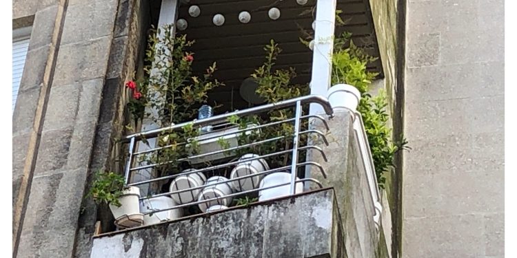 Ya no caben las plantas