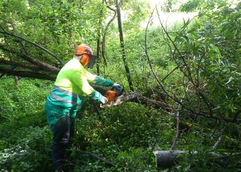 Actuacións de limpeza e conservación no río Muíños
