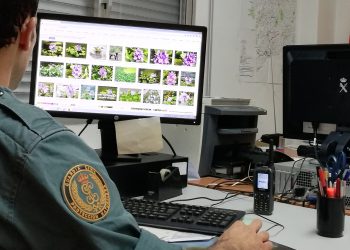 Intervienen en Gondomar un lote de plantas prohibidas expuestas a la venta en internet