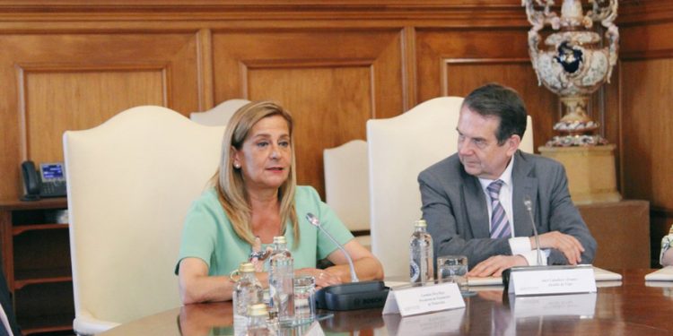 El alcalde de Vigo manifiesta su “apoyo incondicional” a la presidenta de la Diputación