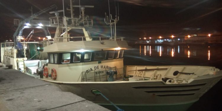 El Oceanográfico y Opromar inician una campaña para conocer el estado real de la cigala