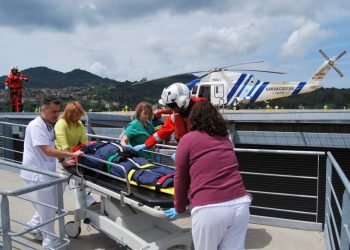Un nido de velutinas en el helipuerto del Cunqueiro obliga a intervenir a los bomberos