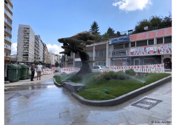 Nueva imagen para Avenida Camelias