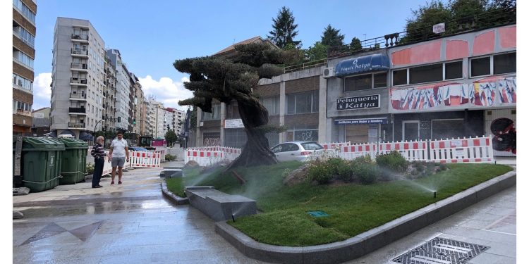 Nueva imagen para Avenida Camelias