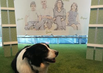 La historia de Quin emociona al público en el Gran Vía de Vigo