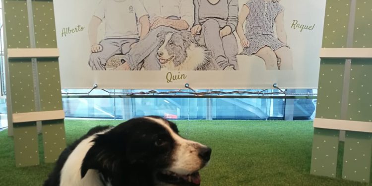 La historia de Quin emociona al público en el Gran Vía de Vigo