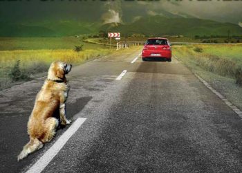 Como se abandona un trasto viejo