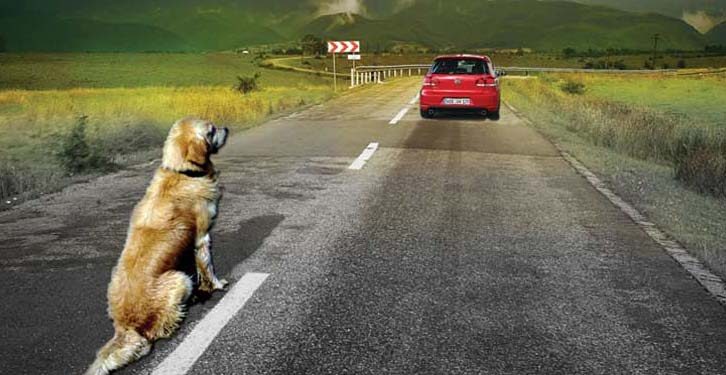 Como se abandona un trasto viejo