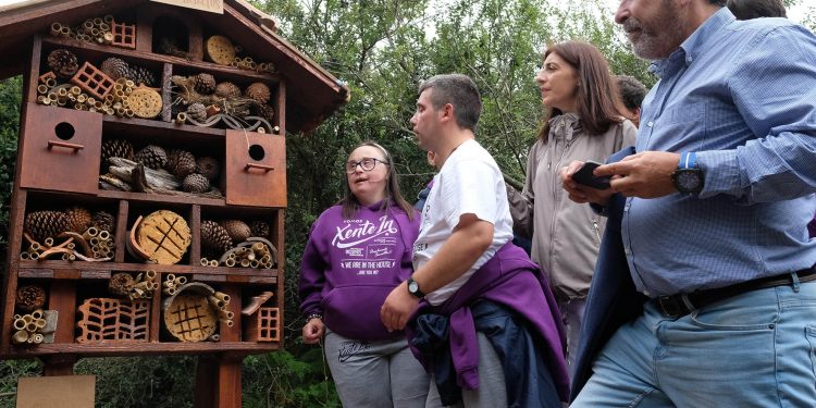 Las islas Cíes tendrán un hotel para insectos