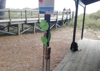 A presenza de cabichas nas praias das Cíes reducíronse un 85% en dez anos