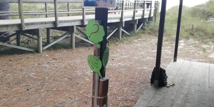 A presenza de cabichas nas praias das Cíes reducíronse un 85% en dez anos