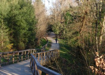 Aberta a inscrición para a andaina polo parque da Canuda de Salvaterra e o paseo fluvial a Fillabona