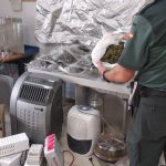 IMG-20190731-WA0030 copia