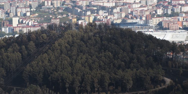 A Xunta inicia a creación dun “bosque periurbano” modelo na contorna de Vigo