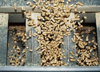 ¿Por qué incluir una chimenea de pellets en el hogar?