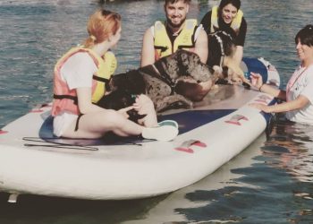 La rampa del Náutico de Vigo acogerá la II Jornada Canina