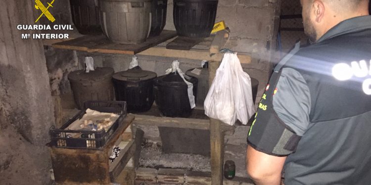 La Guardia Civil se incauta de 144 litros de aguardiente artesanal en un bar de As Neves