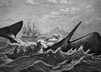 «Moby Dick», de Herman Melville