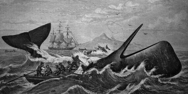 «Moby Dick», de Herman Melville