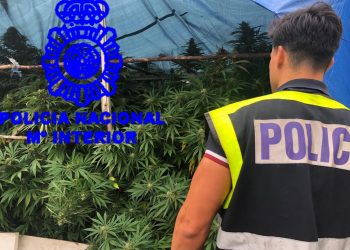 Intervienen una plantación y 117 kilos de marihuana en Mos