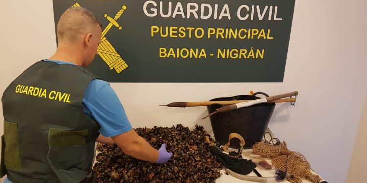 Detienen a un conocido furtivo vigués extrayendo percebe en la costa de Baiona