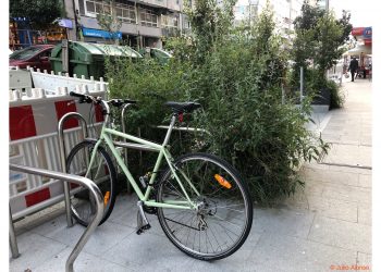 Arbustos incontrolados