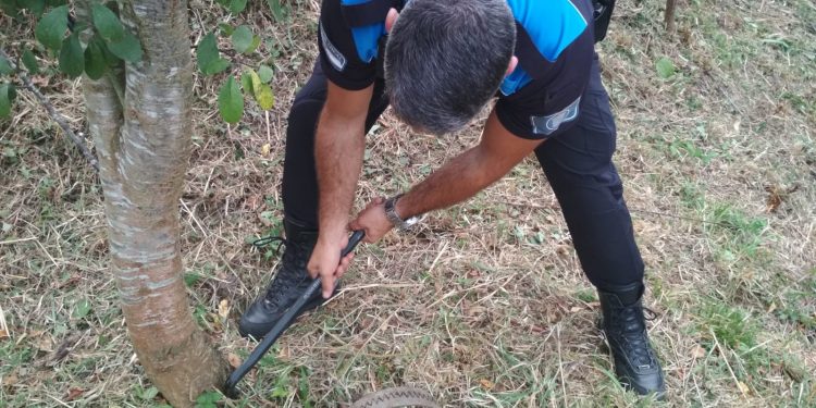 Un vecino de Valadares localiza un cepo para jabalíes en una finca