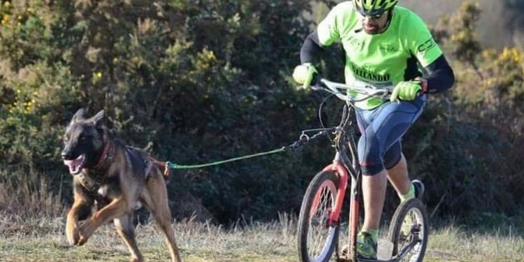 «Mushing Popular», deporte canino en Nigrán cunha decena de modalidades