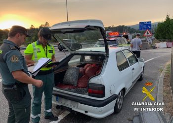 La Guardia Civil se incauta de 330 kilos de almeja y berberecho clandestino en Tui