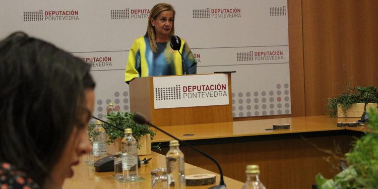 A Deputación aproba axudas de emerxencia para vinte concellos