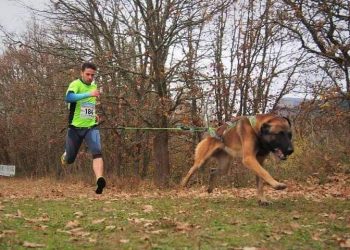 Nigrán celebra o domingo o seu primeiro ‘mushing popular’ con preto dunha decena de modalidades