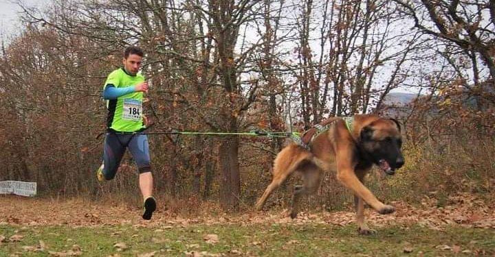 Nigrán celebra o domingo o seu primeiro ‘mushing popular’ con preto dunha decena de modalidades