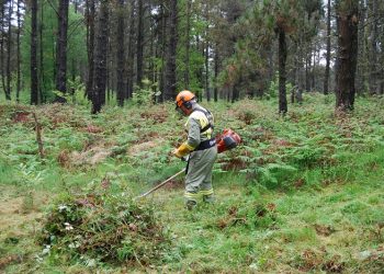 A Xunta incorpora drons e reforza a vídeovixilancia fixa na loita contra o lume