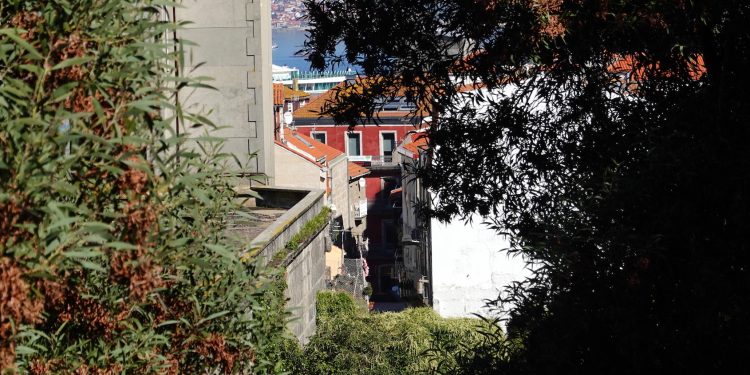 Rúa de Santiago