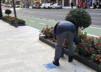 Las plantas mejor cuidadas