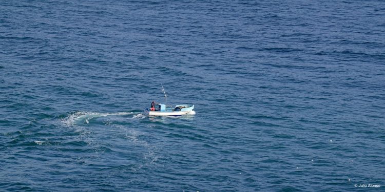 Pescadores de bajura