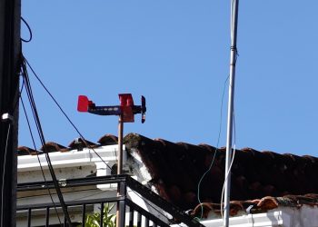 El vuelo de la veleta