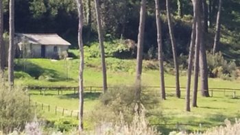 Vivir en el paraíso ya tiene precio: 525.000 euros por una casa en Cíes