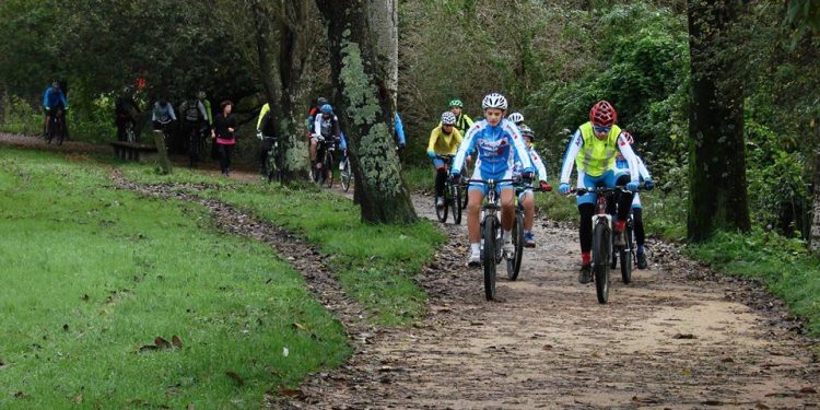Bicis no Nadal: la marcha popular para recorrer Vigo por Navidad con un toque solidario