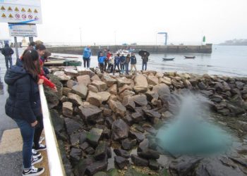 Aparece un géiser en el puerto de Canido