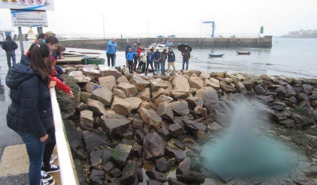 Aparece un géiser en el puerto de Canido