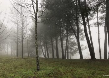 Humedades de invierno