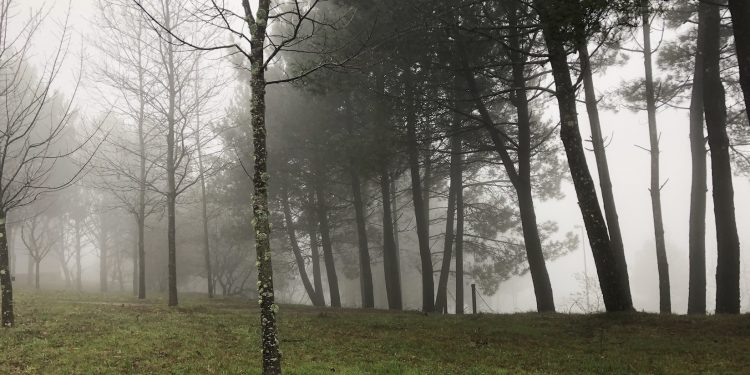 Humedades de invierno