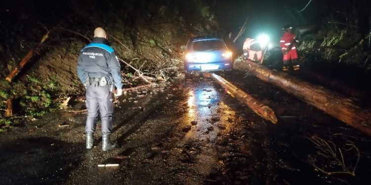 Trasladado al Álvaro Cunqueiro tras chocar contra unos árboles caídos en Vigo