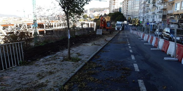 El PP de Vigo lamenta que Abel Caballero ‘celebre’ la Cumbre del Clima con otra tala de árboles