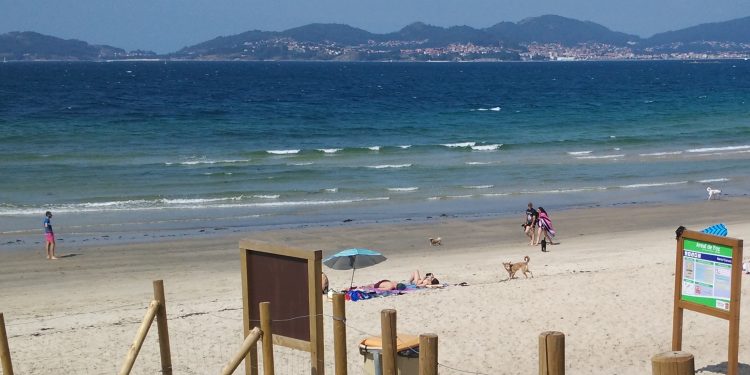 Vigo, entre las ciudades más ‘dog friendly’ de España